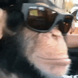 micahanderson avatar