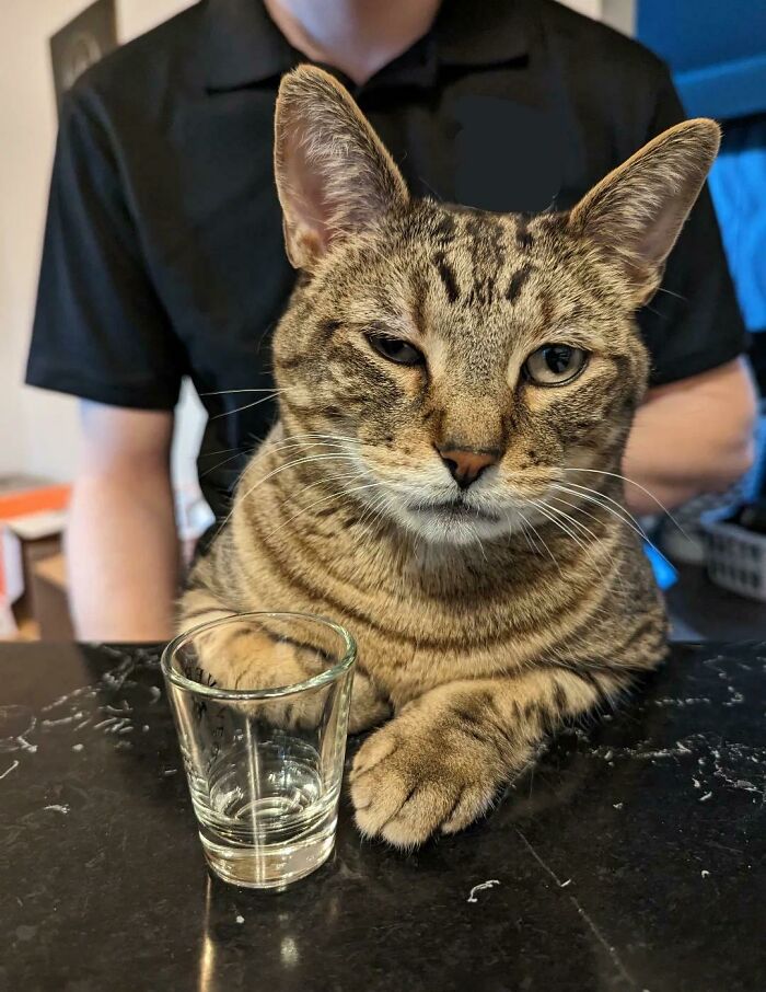 He's Got A Case Of The Mondays