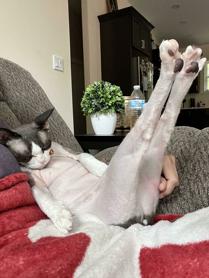 Charlie Watching Dateline