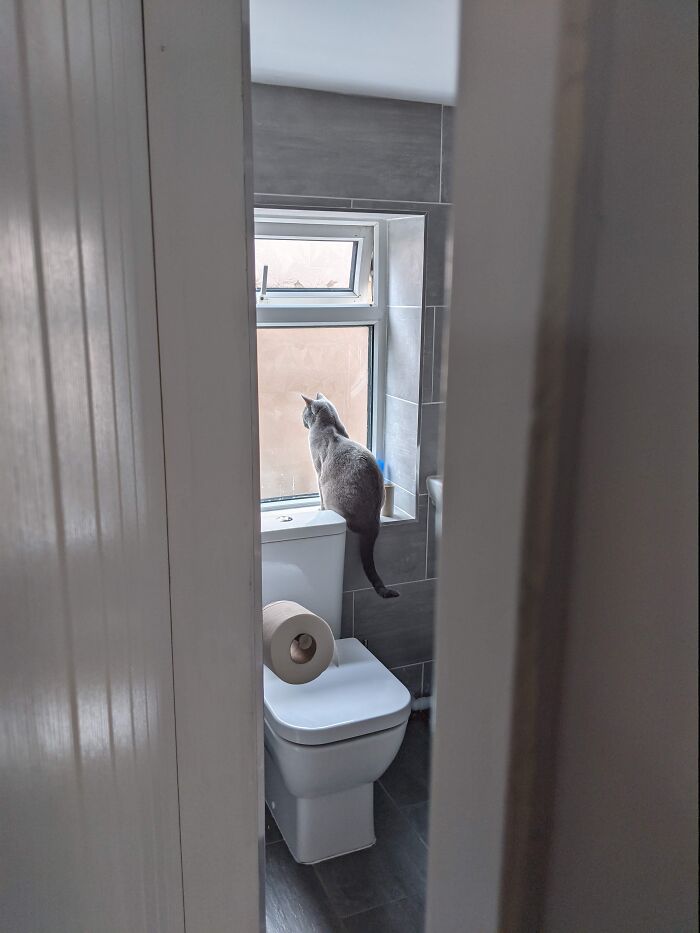 My Boy Doesn't Understand Frosted Glass