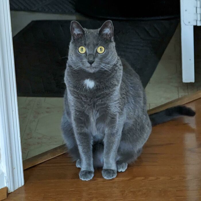 Not. One. Single. Braincell