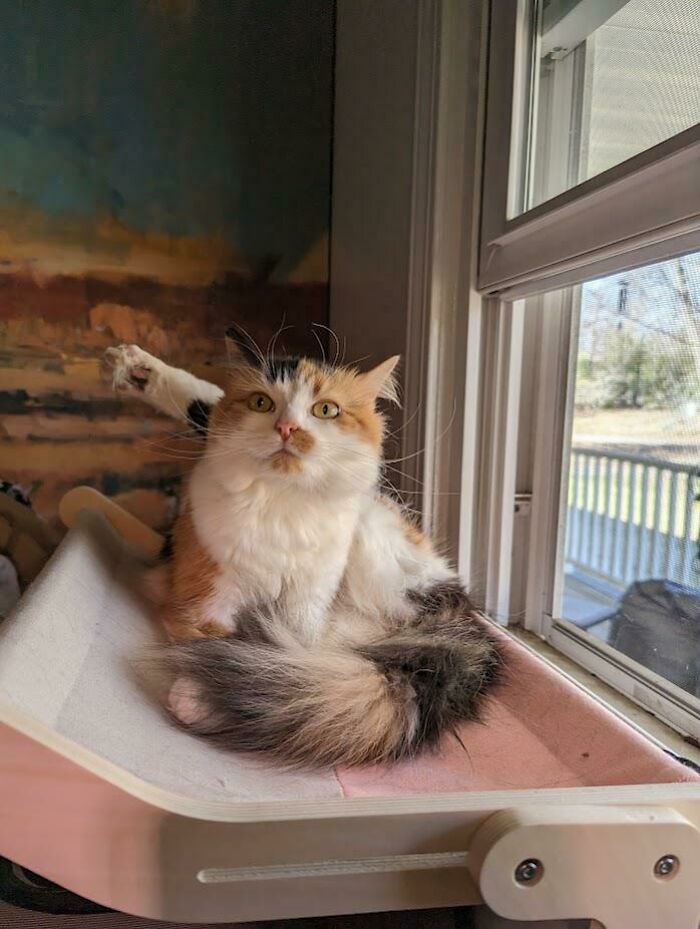 So You Gonna Put Your Leg Back Or...?