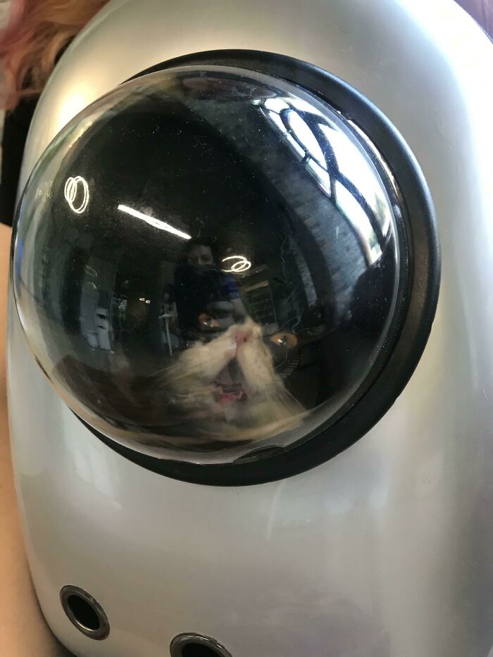 Ground Control To Major Tom…