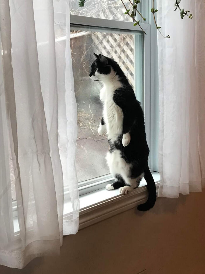 When He Sees Someone Freeloadin' On His Lawn