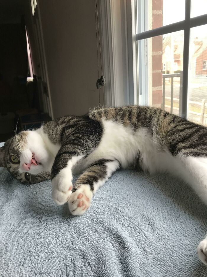 Auditioning To Play The Body On Csi