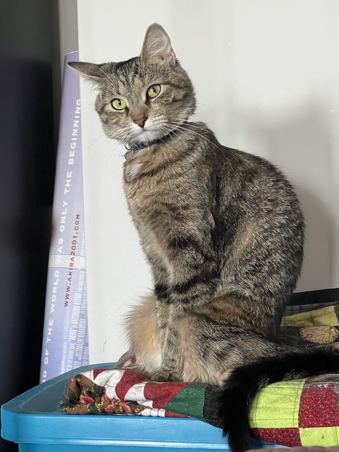 Luna Had Many Talents, But Sitting Is Not One Of Them