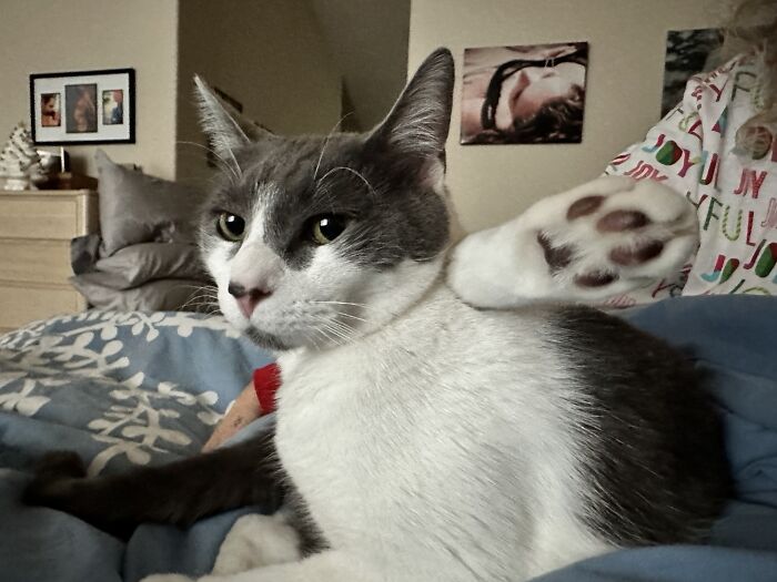 Oscar Was Just Chilling With His Leg Behind His Head