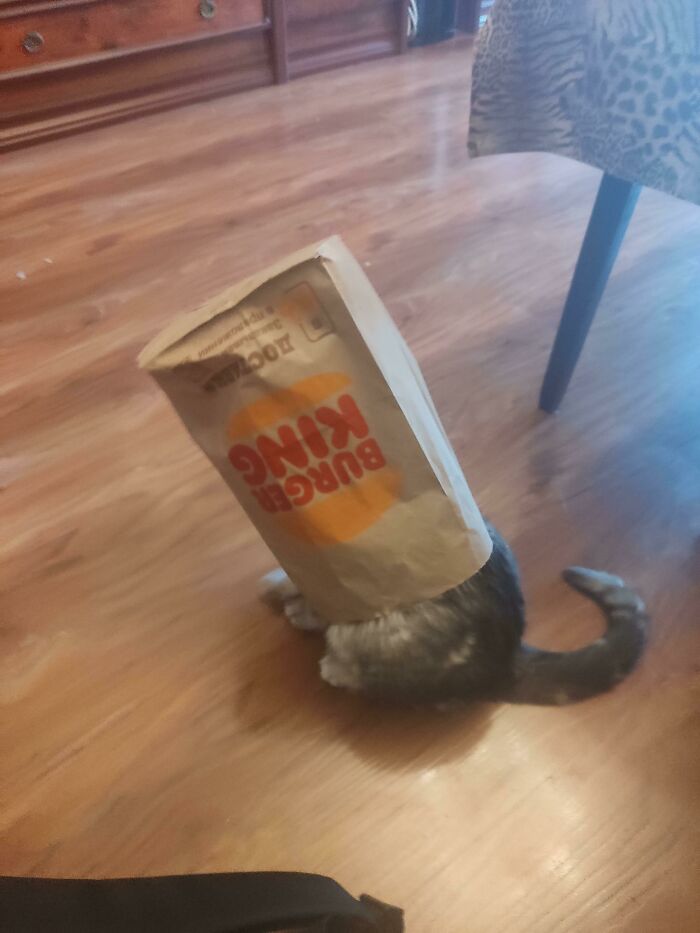 She's Fine, Don't Worry