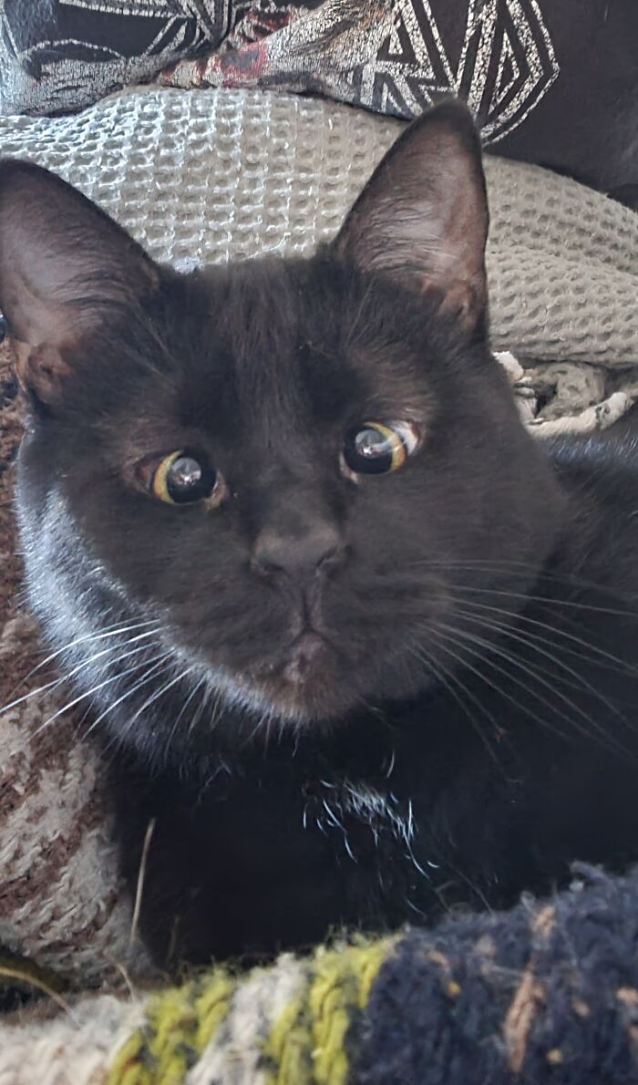 Francis Says Good Morning!