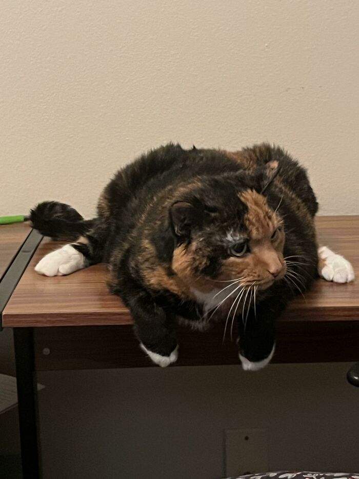 Princess - 19 Years Young!