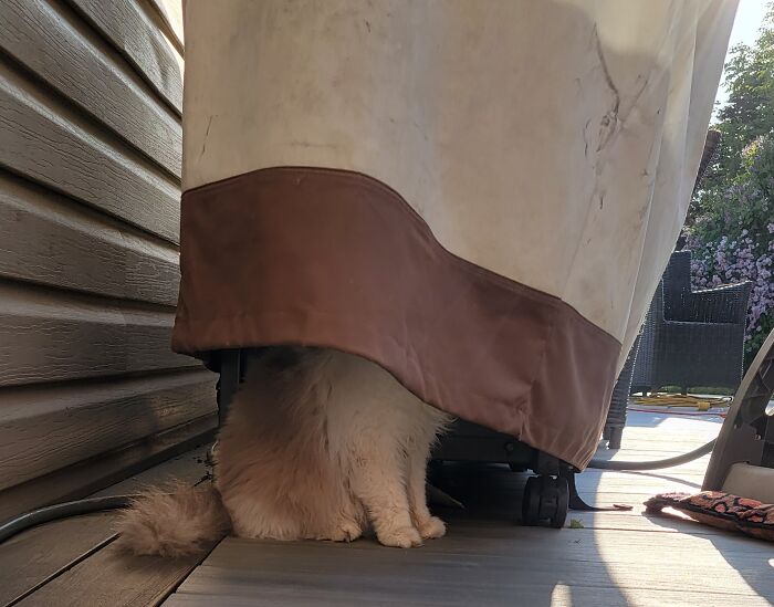 He Sat There For 30 Minutes. I Have No Idea