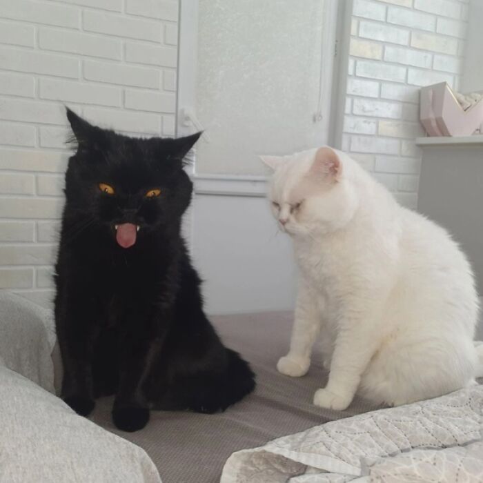 He Always Been Different