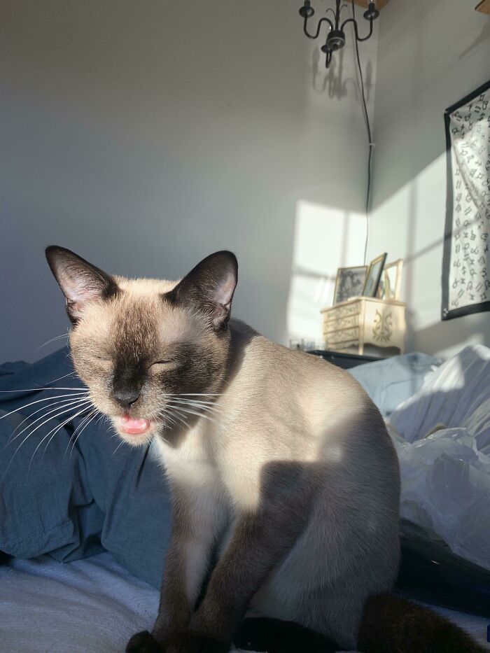 I Think She’s Malfunctioning?¿ Ms Stevie 🤍