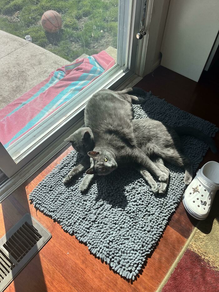 I Guess Laying Beside Your Sister In The Sun Was Just Not An Option