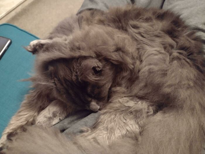 She's Gone To Sleep With Her Leg Over Her Head