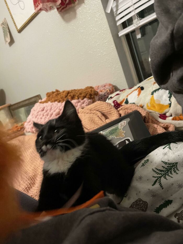 This Is The Least Flattering Photo I’ve Taken In All My Years Of Rescue