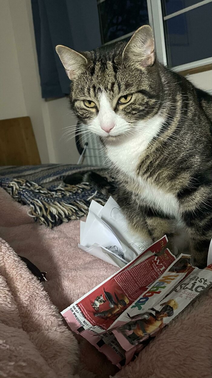 Fred Ate The Final Meat-Stick. And No, Alas, There Are No More Meat Sticks. As You Can See, He Is Close To Starvation