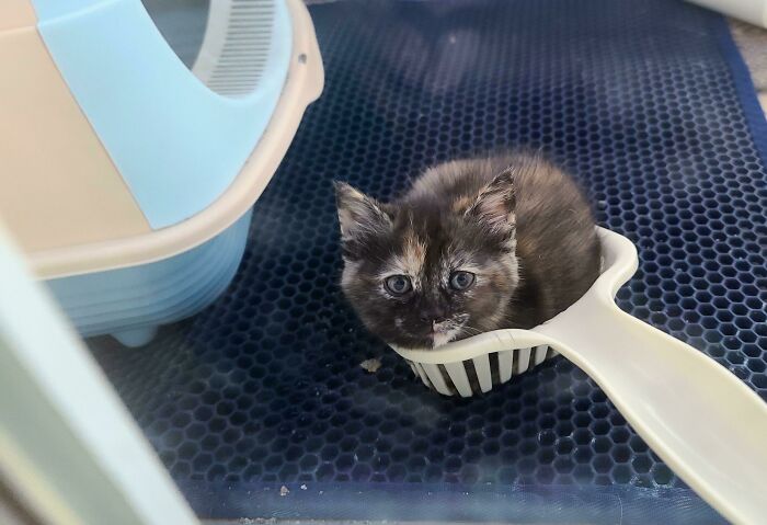 This Cannot Be Sanitary