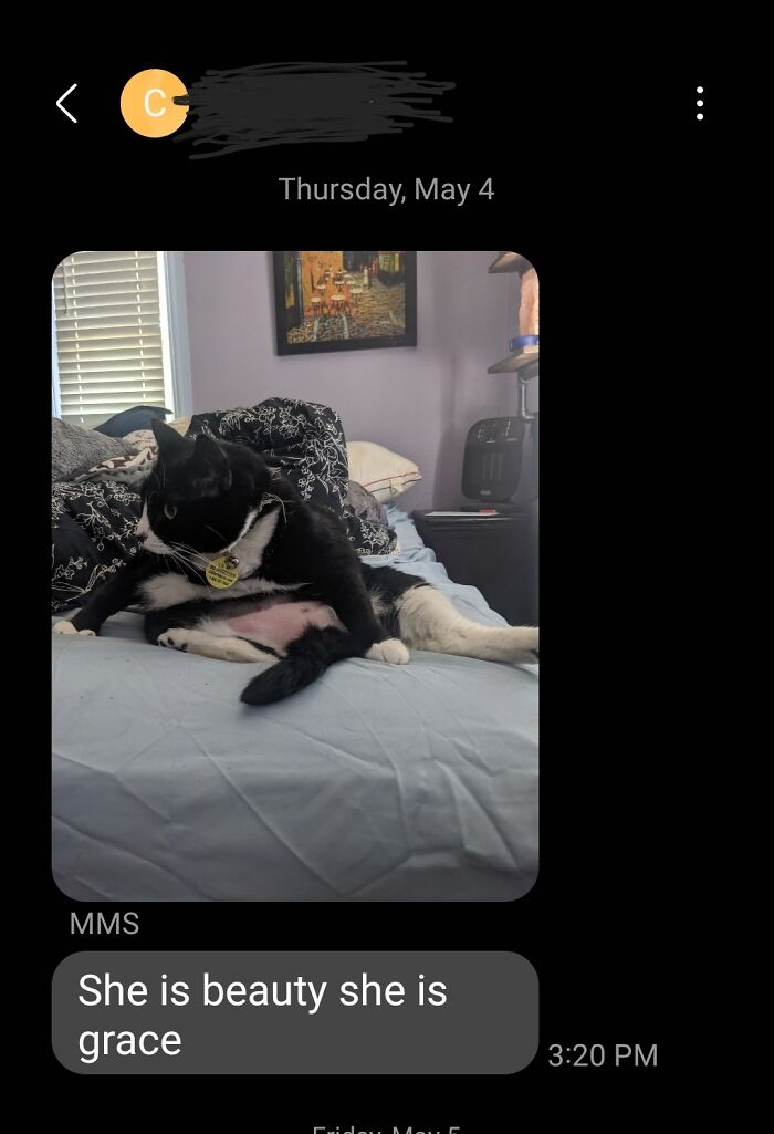 So Sent Me This While I Was Sitting In The Next Room