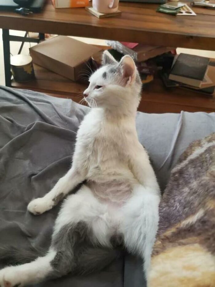 Nap So Good You Forget Where And Who You Are