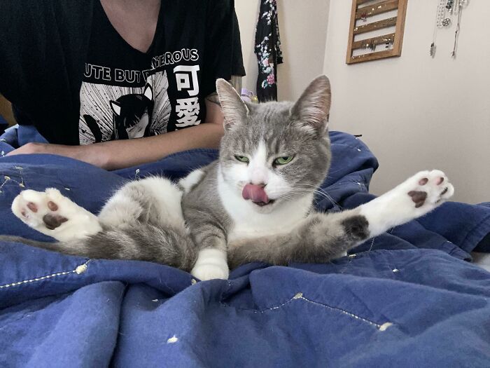 Beautiful And Graceful - Tuna’s Preferred Cleaning Position