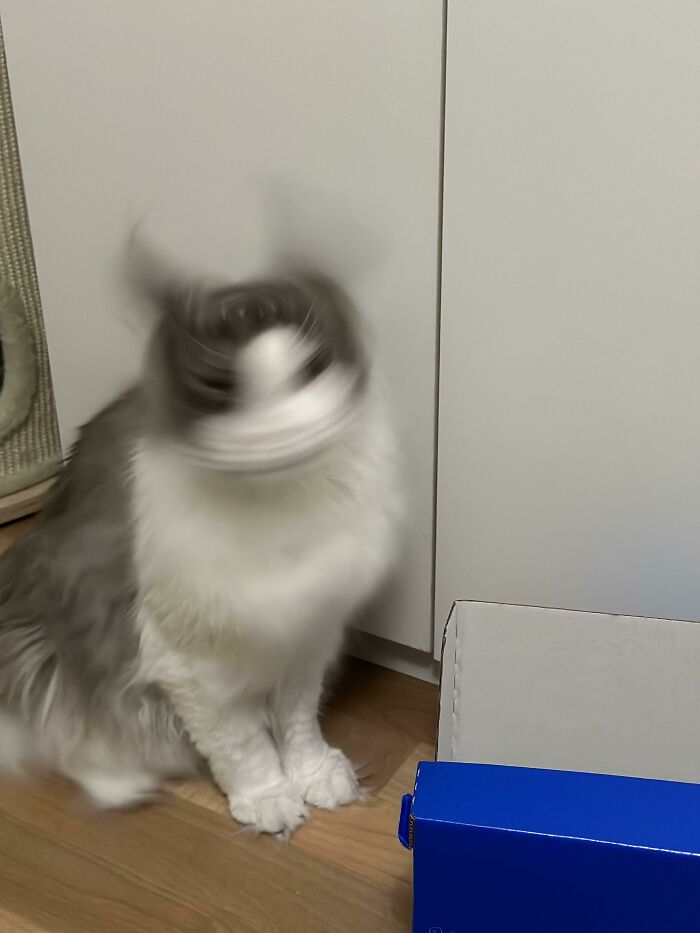 I Accidentally Activated Demon Mode. How Do I Turn It Off?