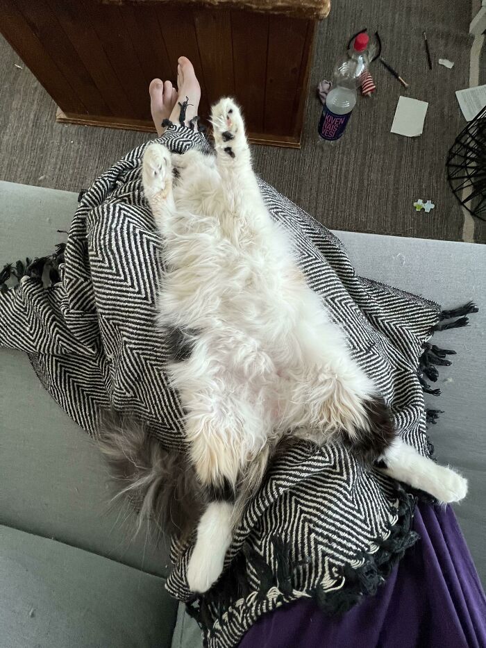 Why Is She Like That?