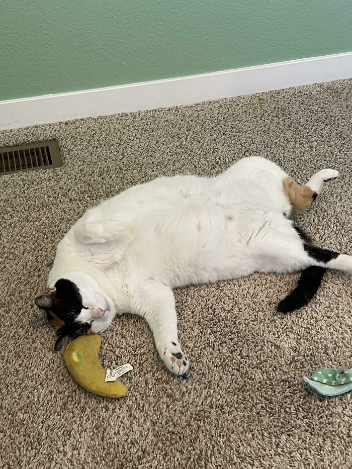 First, Lick The Banana To Death; Then, Time To Pass Out