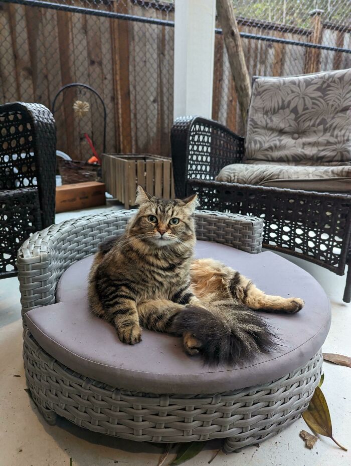 This Is Her Absolute Favourite Position To Sit In And I Have No Idea Why