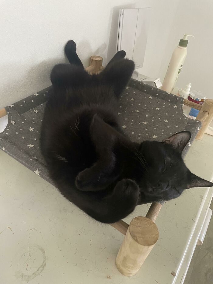 If I Fell Asleep Like This I Would Be Having Neck Pain For Weeks