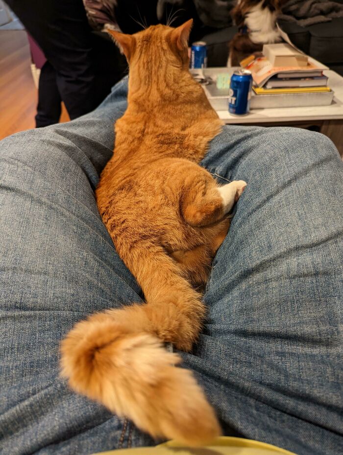 Always Being Awkward In My Lap