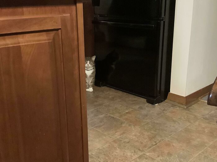 Maggie Trying To Be Subtle