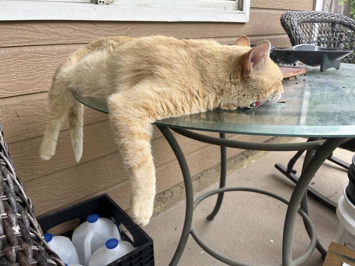 I’m Melting! I’m Meltinggggg!