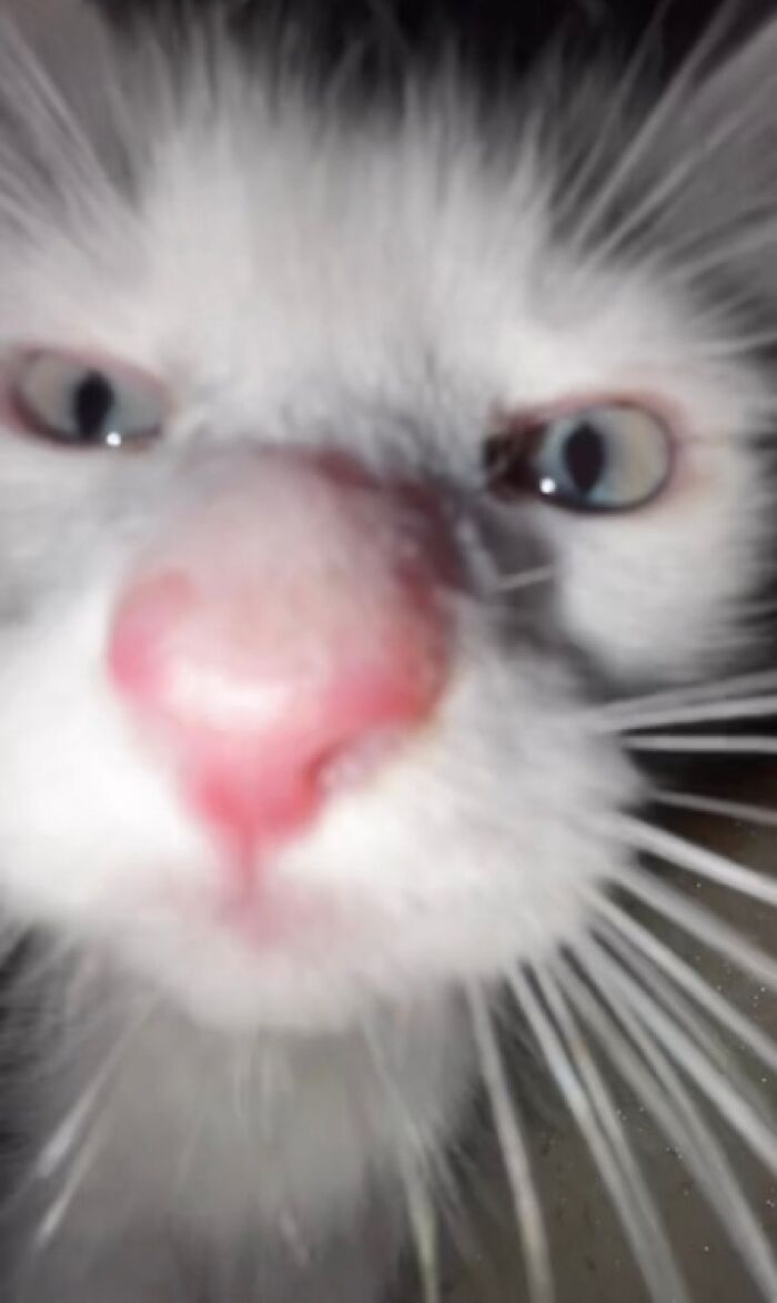 Hey, You Got Phone On Your Games?