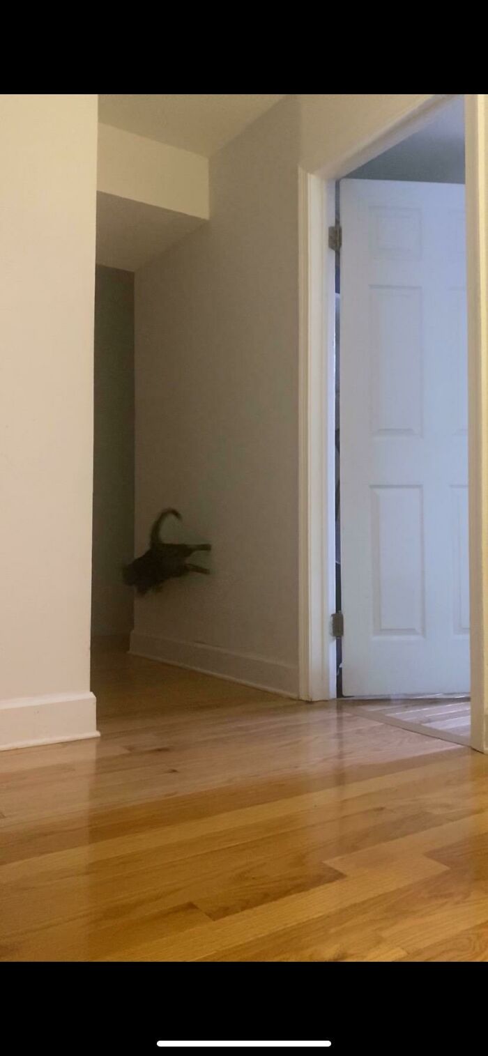 How Can I Fix This??