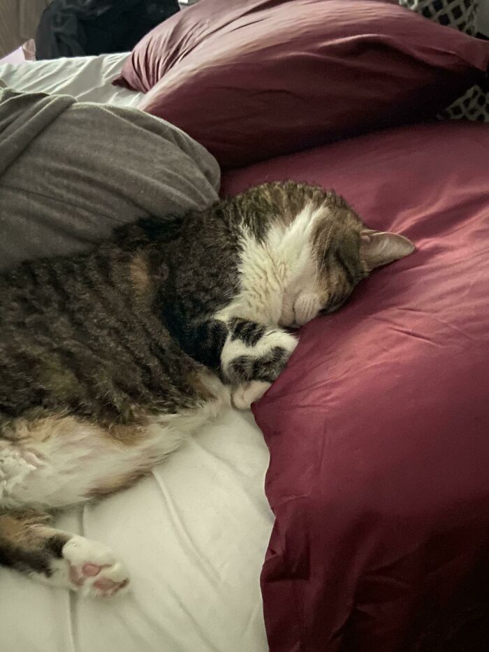 How He Slept On My Expensive Silk Pillow Case Today