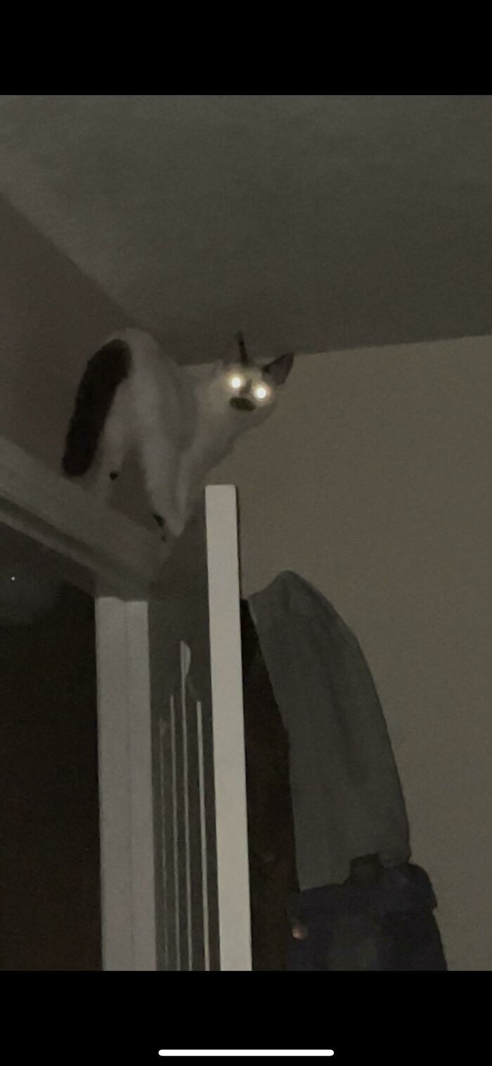 Anyone Missing Their Sleep Paralysis Demon? It’s Scaling My Doorframe Every Night