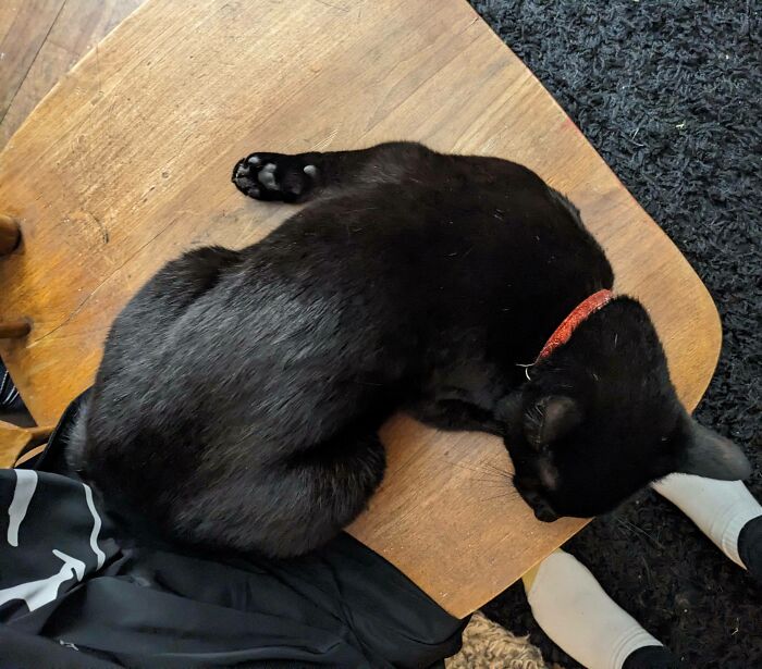 Twisted Burnt Turkey