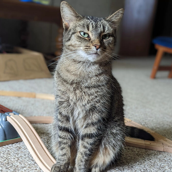 Does Arabella Bite? No. Worse - She Judges