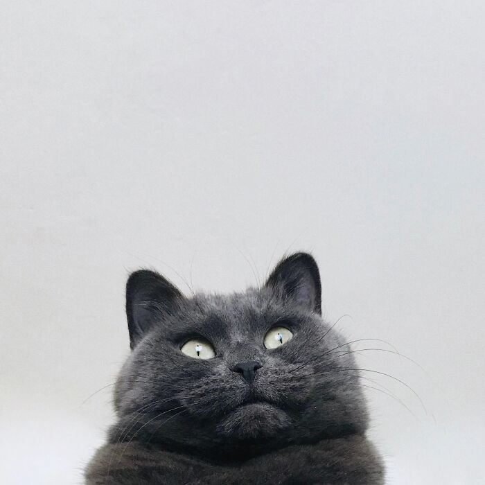 Come Up With The Name For The Photo