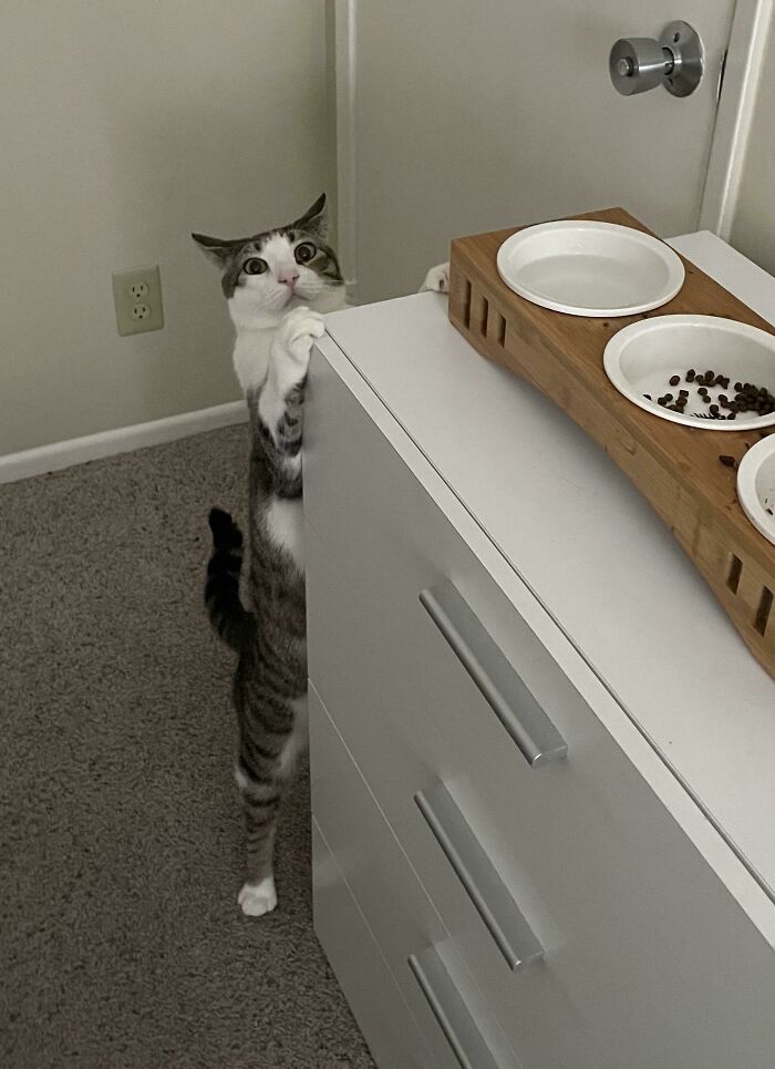 I Call Him “Mr. Big”