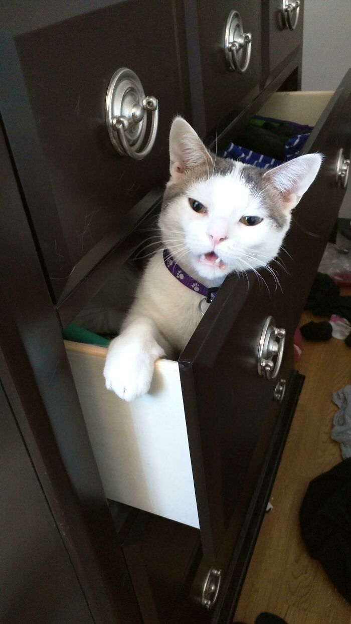 Me grita por despertarle de la siesta que se echaba sobre mi ropa