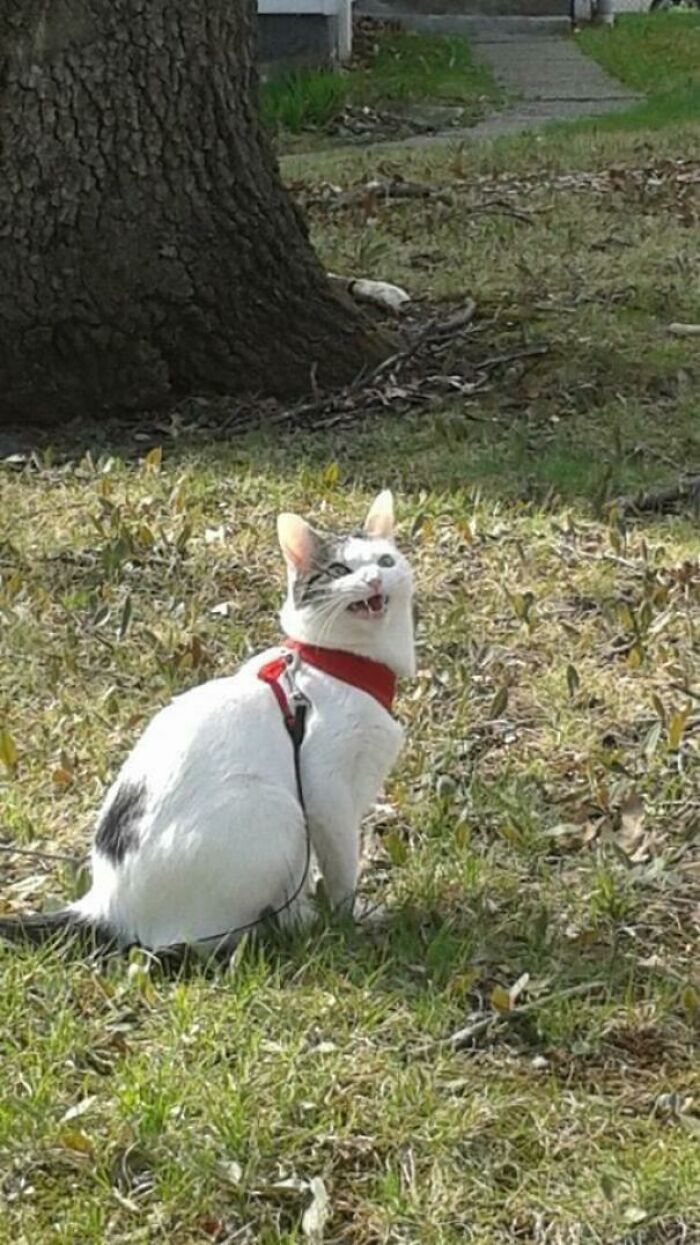 “Tf Is This Shit!?”