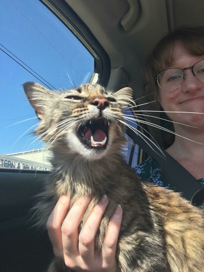 Trust Me. She Was Yelling The Entire Ride