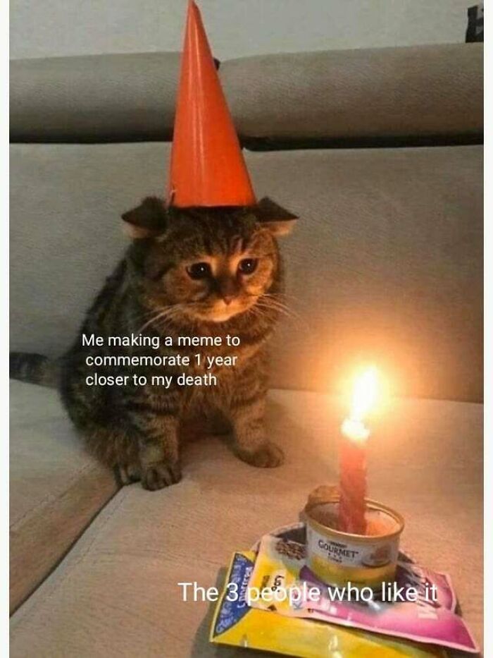 A cat in a party hat humorously stares at a birthday candle, adding fun with a hilarious birthday meme.