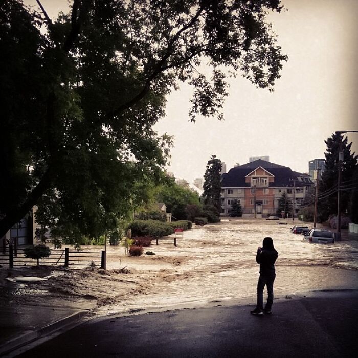 A flooded city road with a large tree and a young woman taking a picture