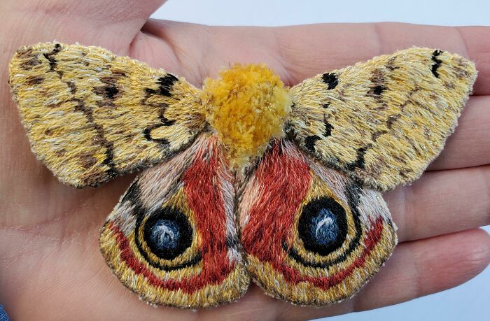 My Embroidered Io Moth