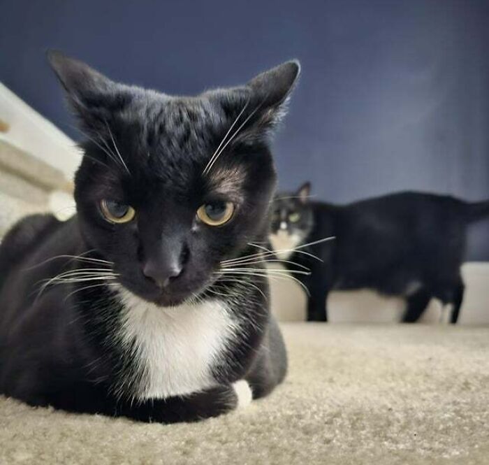 He's Behind Me, Isn't He