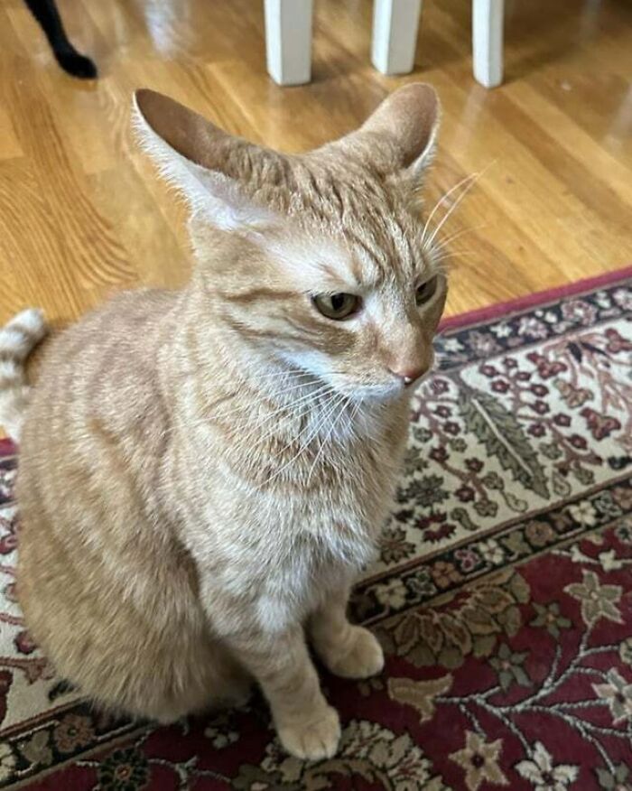 Runway Is Not Clear!