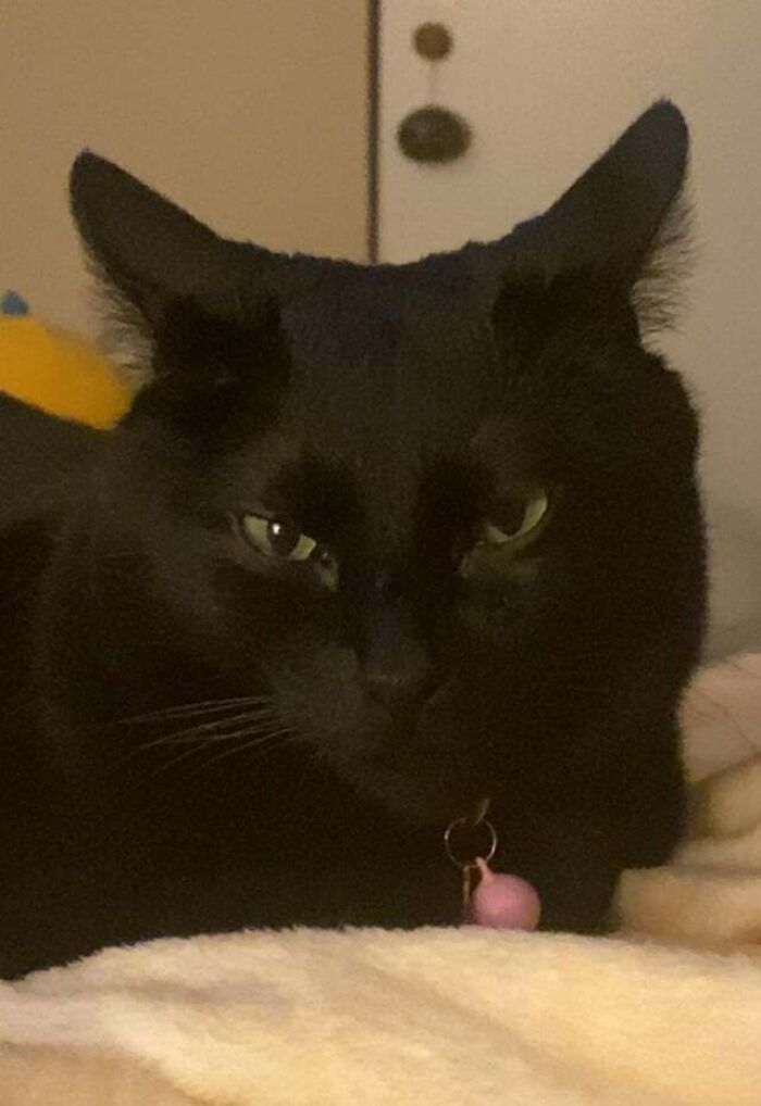 Next Departure: Dreamland!